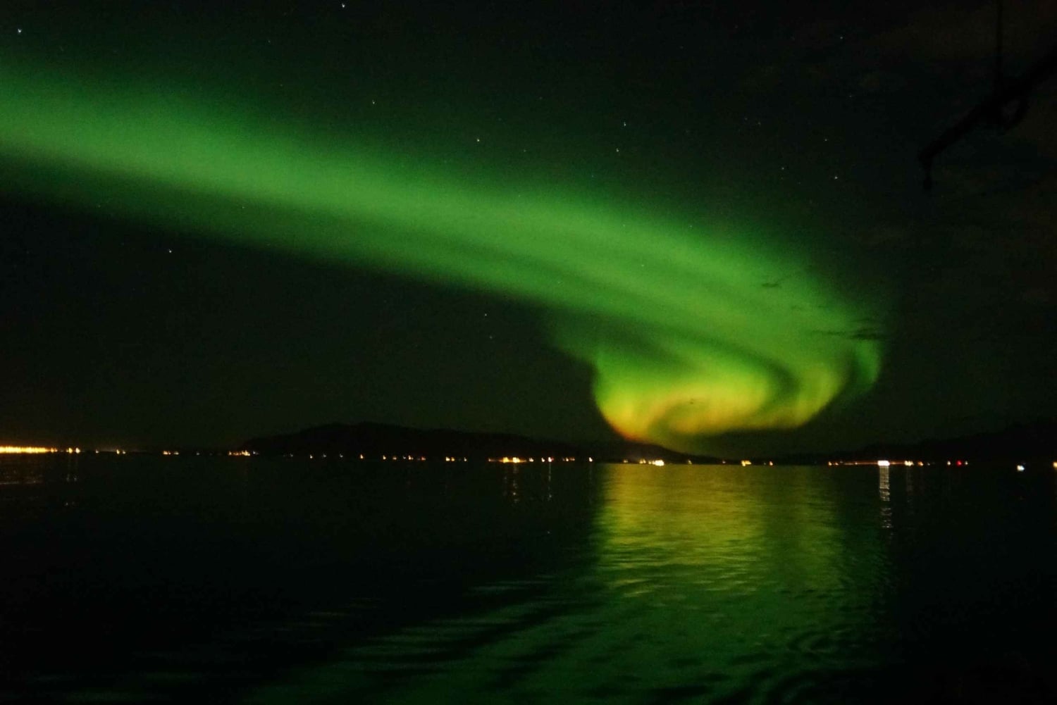 Reykjavik: Passeio de barco guiado pela aurora boreal com fotos