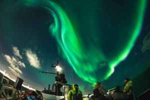 Reikiavik: Aurora Boreal Tour en barco guiado con fotos