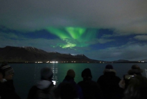 Reikiavik: Aurora Boreal Tour en barco guiado con fotos