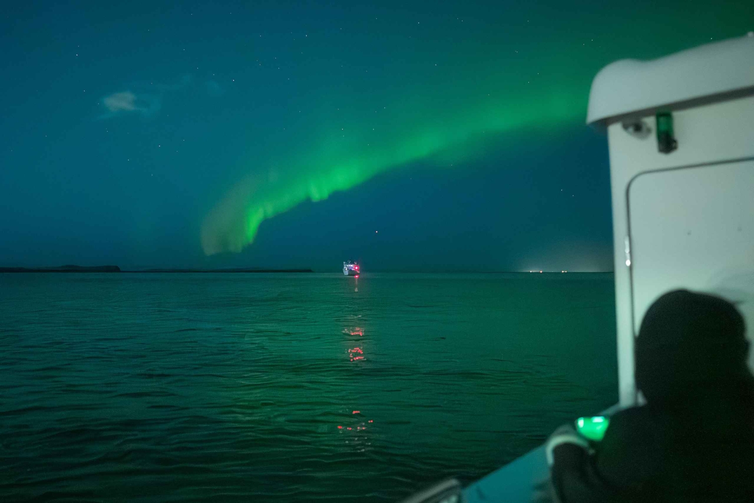 レイキャビクオーロラガイドボートツアー