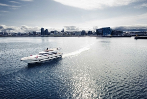 Reykjavik: Northern Lights Luxury Yacht Cruise