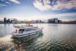 Reykjavik: Northern Lights Motor Yacht Cruise