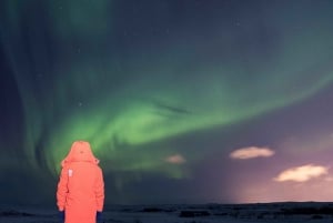 Reykjavik: Fototur med nordlys og billett til Aurorasenteret