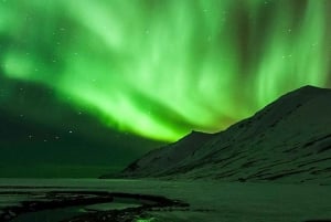 Reykjavik: Yksityinen revontuliretki