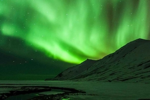 Reykjavik: Privat tur til nordlyset