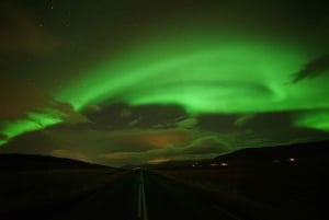 Reykjavik : Visite en petit groupe en minibus des aurores boréales