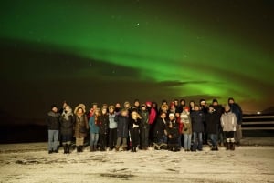 Reykjavik: Northern Lights Small Group Minibus Tour