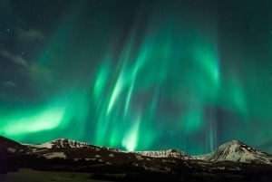 Reykjavik: Northern Lights Super Jeep Tour