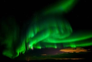 Reykjavik: Northern Lights Super Jeep Tour