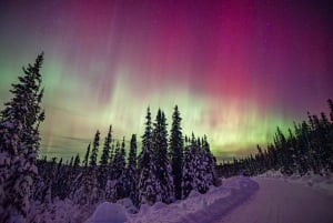 Reykjavík: Northern Lights Tour in Spanish with 4x4 Vehicle