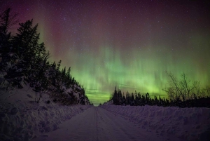 Reykjavík: Northern Lights Tour in Spanish with 4x4 Vehicle