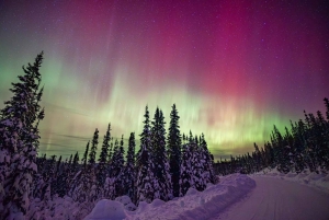 Reykjavík: Northern Lights Tour in Spanish with 4x4 Vehicle