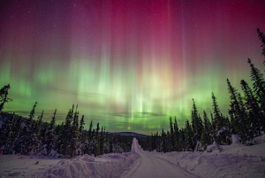 Reykjavík: Northern Lights Tour in Spanish with 4x4 Vehicle