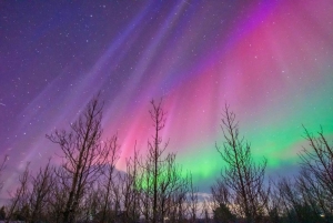 Reykjavík: Northern Lights Tour in Spanish with 4x4 Vehicle