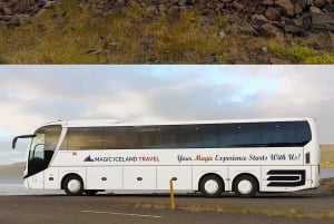 Рейкьявик: тур к северному сиянию с гидом на китайском языке