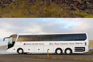 Reykjavík: tour dell'aurora boreale con guida cinese