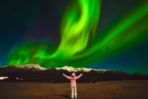Reykjavík: tour dell'aurora boreale con guida cinese