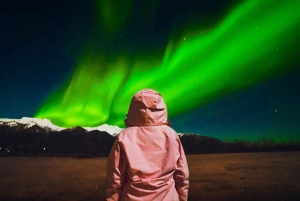 Reykjavík: tour dell'aurora boreale con guida cinese