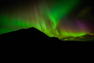 Reykjavik: Northern Lights Tour with Private Photographer