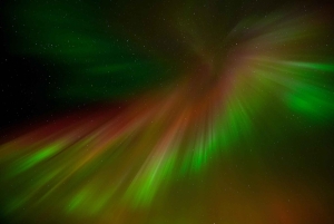 Reykjavik: Northern Lights Tour with Private Photographer