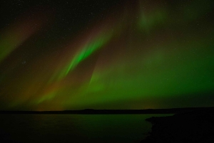 Reykjavik: Northern Lights Tour with Private Photographer