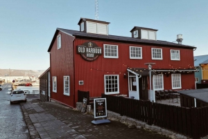 Reykjavik: Jaga norrskenet på en tur med yacht