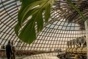 Reykjavik: Perlan - Wonders of Iceland Experience