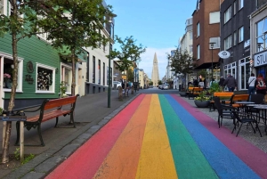 Reykjavík Platinum Tour: Heritage, Local Flavours & Perlan