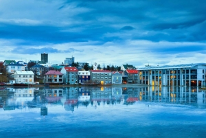 Reykjavík Platinum Tour: Heritage, Local Flavours & Perlan