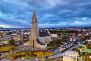 Reykjavík Platinum Tour: Heritage, Local Flavours & Perlan