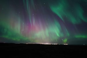 Reykjavik: Premium Norrskenstur med gratis foton