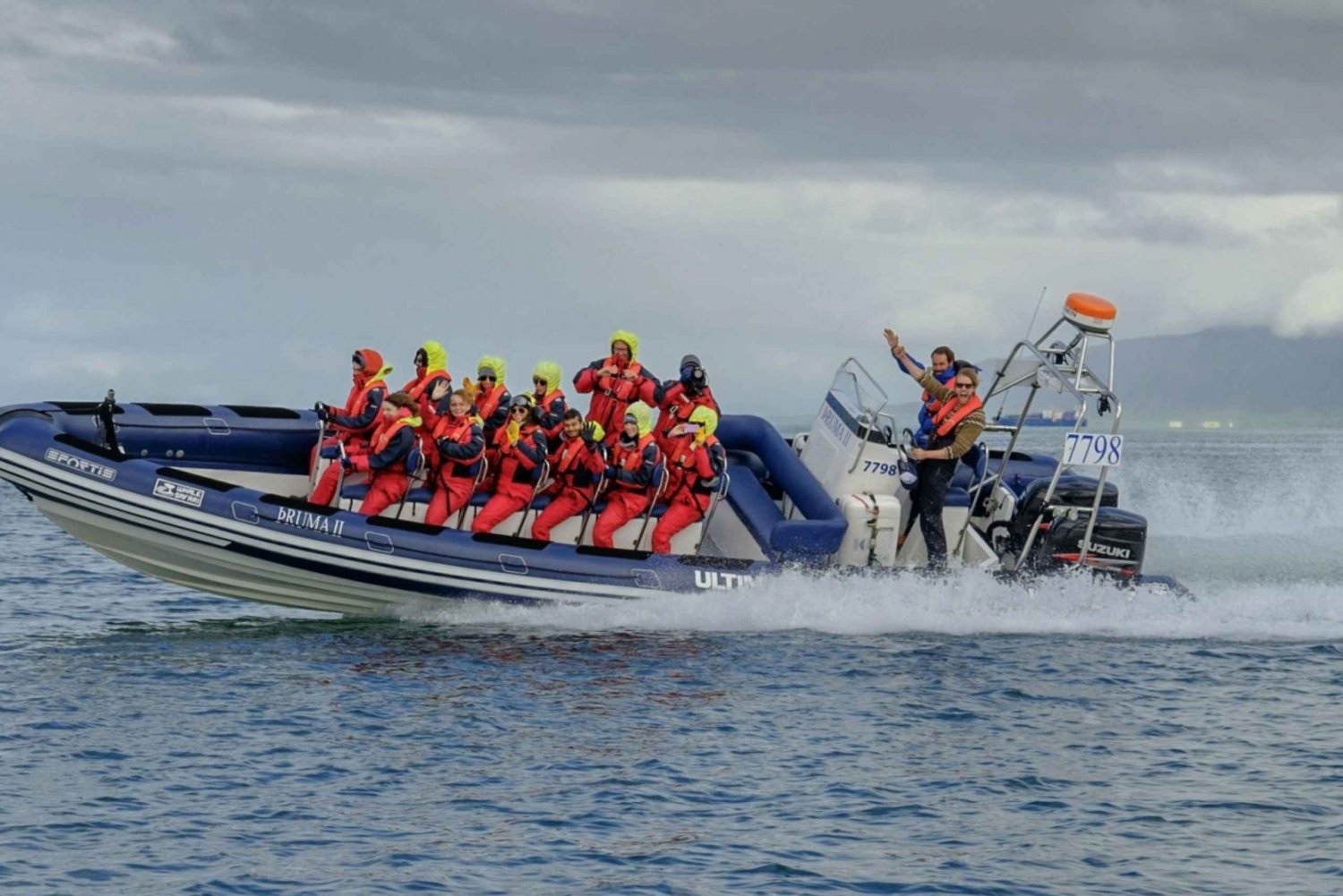 Reykjavik: Premium walvissen kijken met flexibel ticket