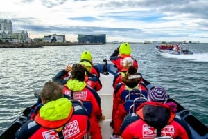 Reykjavik: Observação de baleias premium com ingresso flexível