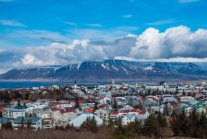 Reykjavik: Private 3-Hour Walking Tour for Seniors