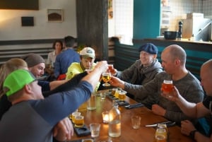 Reykjavik: Tour particular de degustação de cerveja e bebida