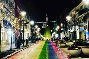 Reykjavik: Excursão a pé particular de Natal