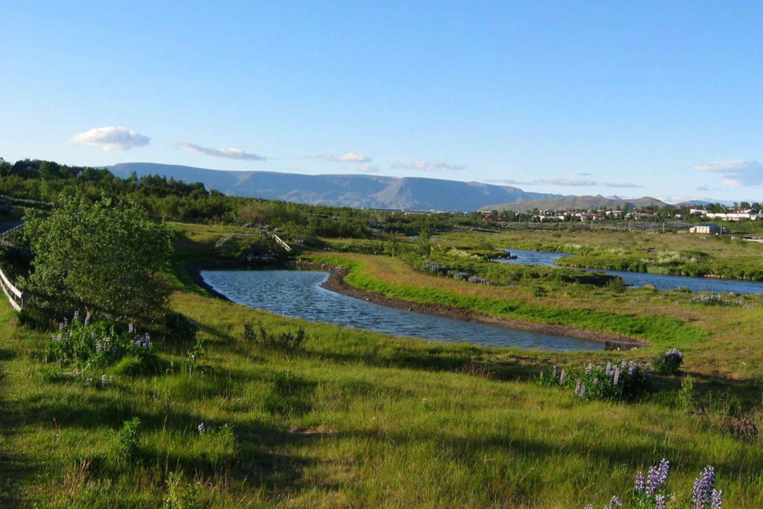 Reykjavik: private Stadtführung – Höhepunkte