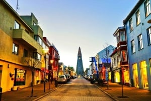 Reykjavik: Private City Tour Highlights