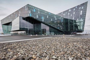 Reykjavik: Private City Tour Highlights