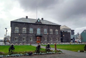 Reykjavik: private Stadtführung – Höhepunkte