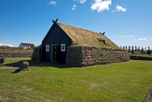 Reykjavik: private Stadtführung – Höhepunkte