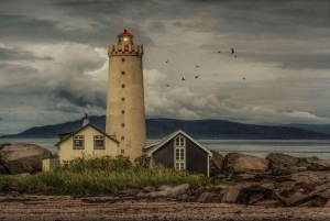 Reykjavik: private Stadtführung – Höhepunkte