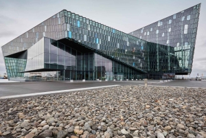 Reykjavik: private Stadtführung – Höhepunkte