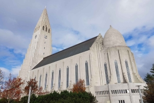 Reykjavik: private Stadtführung – Höhepunkte