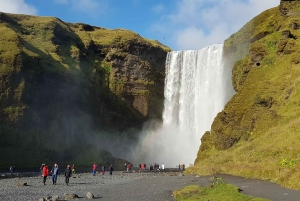 Reykjavik: Privat dagstur till Islands sydkust.