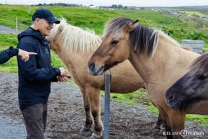 Reykjavik: Private Golden Circle and Sky Lagoon Transfer