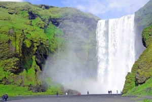 Reykjavik: Privat tur til den gyldne cirkel og sydkysten