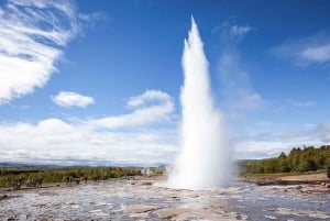 Reykjavik: privat tur til gullsirkelen og den blå lagunen