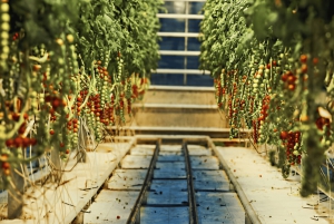 Reykjavík: Private Golden Circle Tour in Multiple Languages