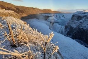 Reykjavik : Private Golden Circle Tour with Secret Lagoon